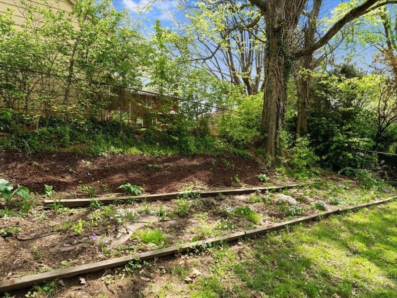 3730 Marydell Place, Cheviot, OH 45211 Photo 24