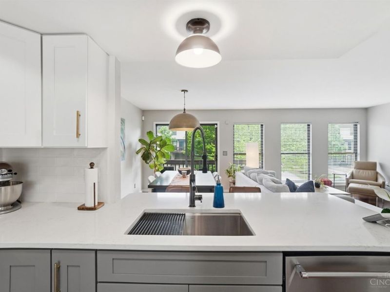 407 Elizabeth Street, Cincinnati, OH 45203 Photo 14