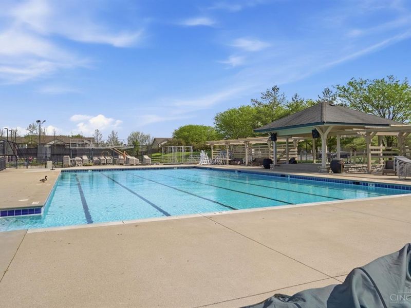 8239 Sweet Briar Court, Liberty Township, OH 45044 Photo 65