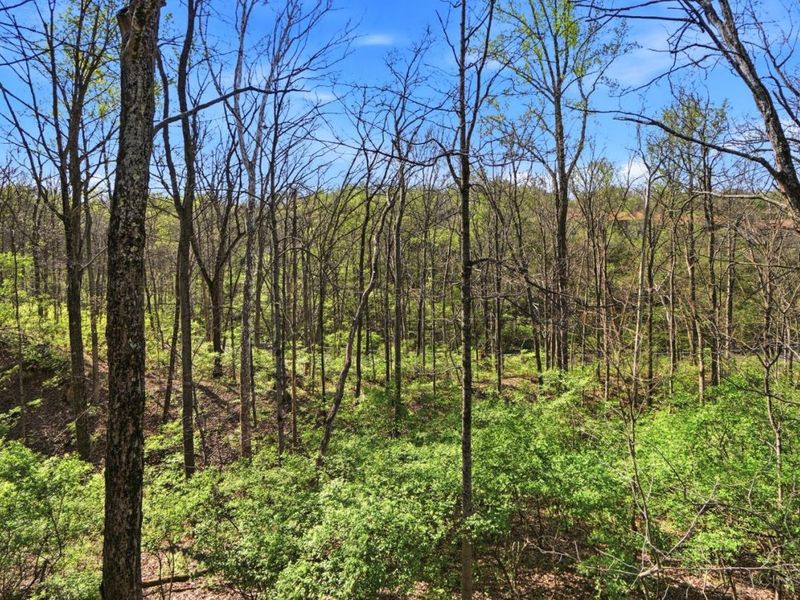 3875 Blackwood Court, Blue Ash, OH 45236 Photo 48