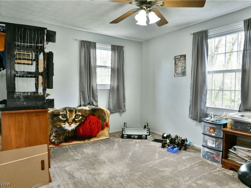 8560 Black Oak Drive NE, Warren, OH 44484 Photo 32