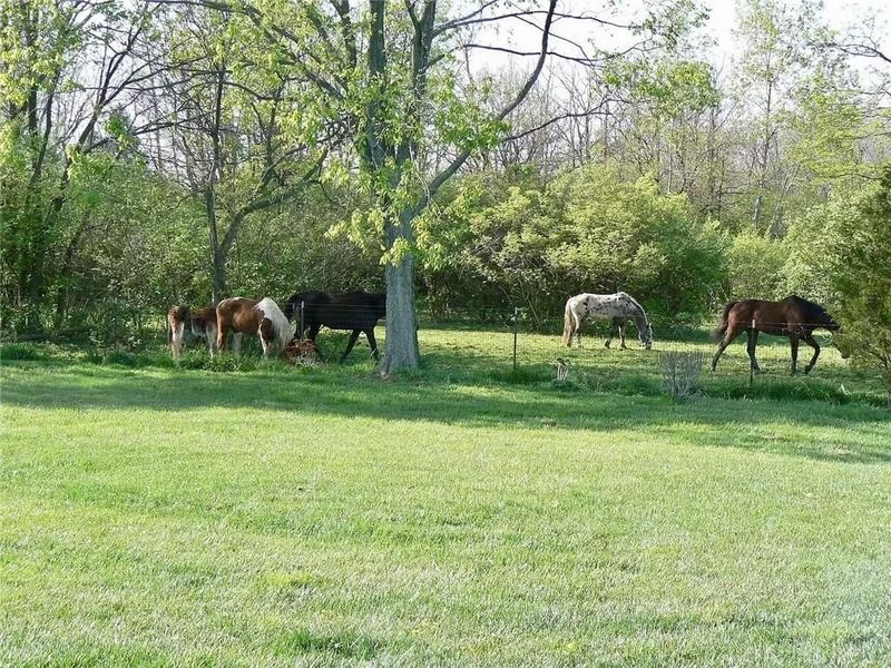 3128 Honeytree Lane, Franklin Township, OH 45066 Photo 59