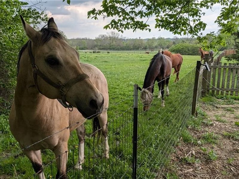 3128 Honeytree Lane, Franklin Township, OH 45066 Photo 60
