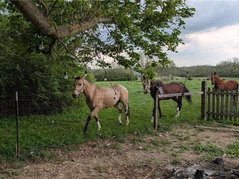 3128 Honeytree Lane, Franklin Township, OH 45066 Photo 61