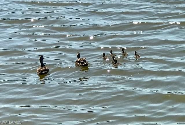 2076 Imperial Cir, Naples, FL 34110 Photo