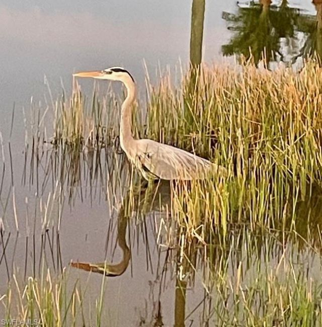 2076 Imperial Cir, Naples, FL 34110 Photo