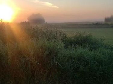 1234 King Road, Ogilvie, MN 56358