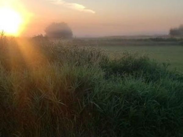 1234 King Road, Ogilvie, MN 56358