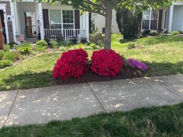 6 WHALEBACK LANE , FREDERICKSBURG, VA 22406