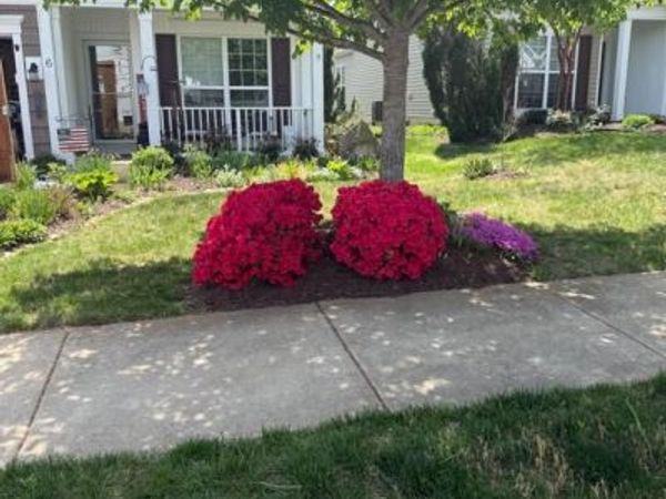 6 WHALEBACK LANE , FREDERICKSBURG, VA 22406