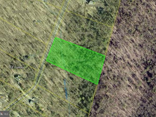 LOT 4 PATRICK LANE, MOUNT JACKSON, VA 22842
