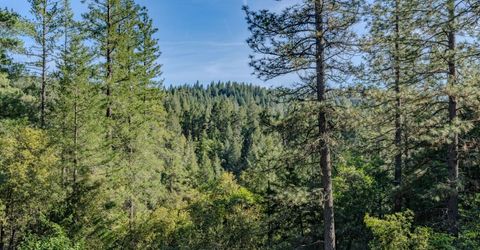 21640 Clute Canyon Rd, Volcano, CA 95689 Photo