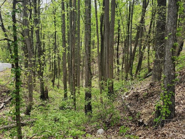 Lot 1 Hatcher Mtn Rd, Sevierville, TN 37862