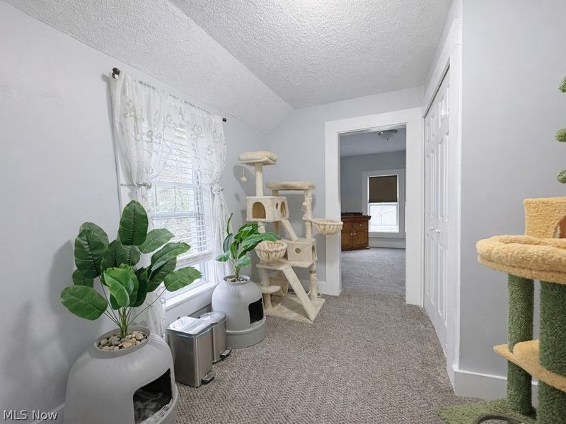 1422 W 30th Street, Ashtabula, OH 44004 Photo 28