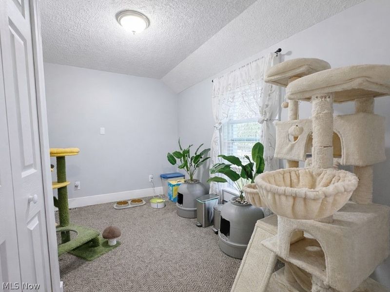 1422 W 30th Street, Ashtabula, OH 44004 Photo 29