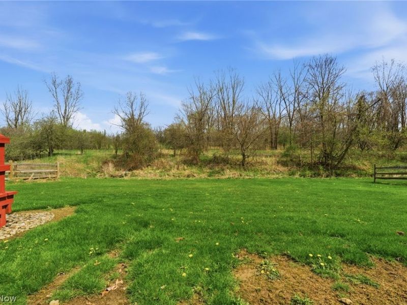 4131 Monterey Drive, Medina, OH 44256 Photo 13