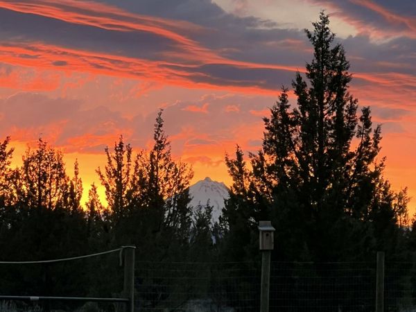 10001 SW Geneva View Road, Terrebonne, OR 97760