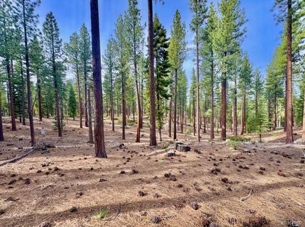 1148 Canarsee Street, South Lake Tahoe, CA 96150 Photo