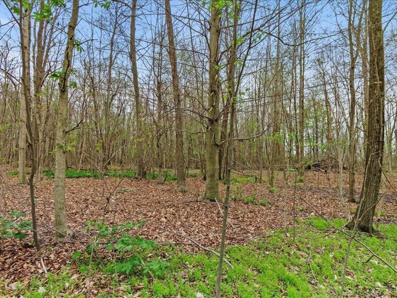 32000 N Middlesworth Road, West Mansfield, OH 43358 Photo 55