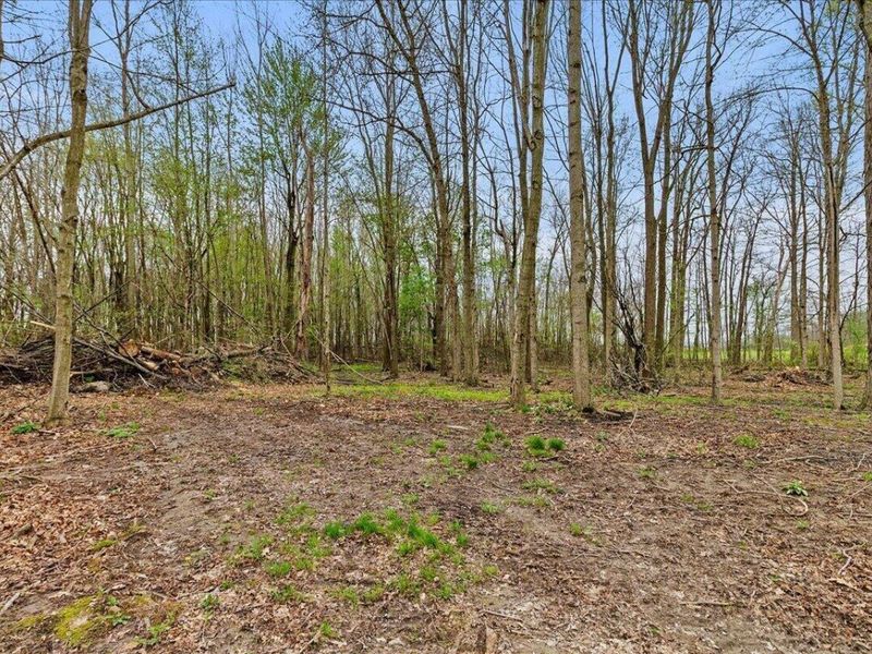 32000 N Middlesworth Road, West Mansfield, OH 43358 Photo 56