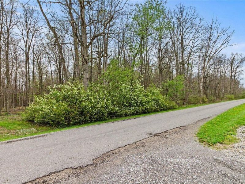 32000 N Middlesworth Road, West Mansfield, OH 43358 Photo 58