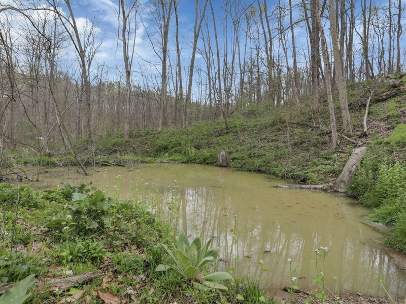 8405 Friendship Drive, New Concord, OH 43762 Photo 46