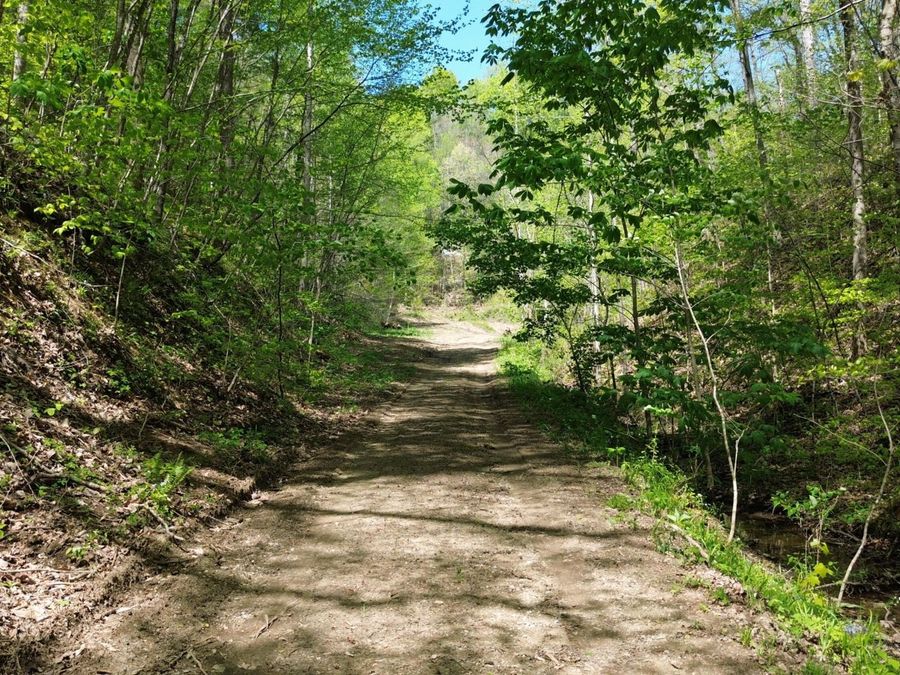 Property Image 13