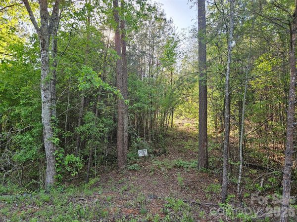 0 Old Hollis Road , Ellenboro, NC 28040