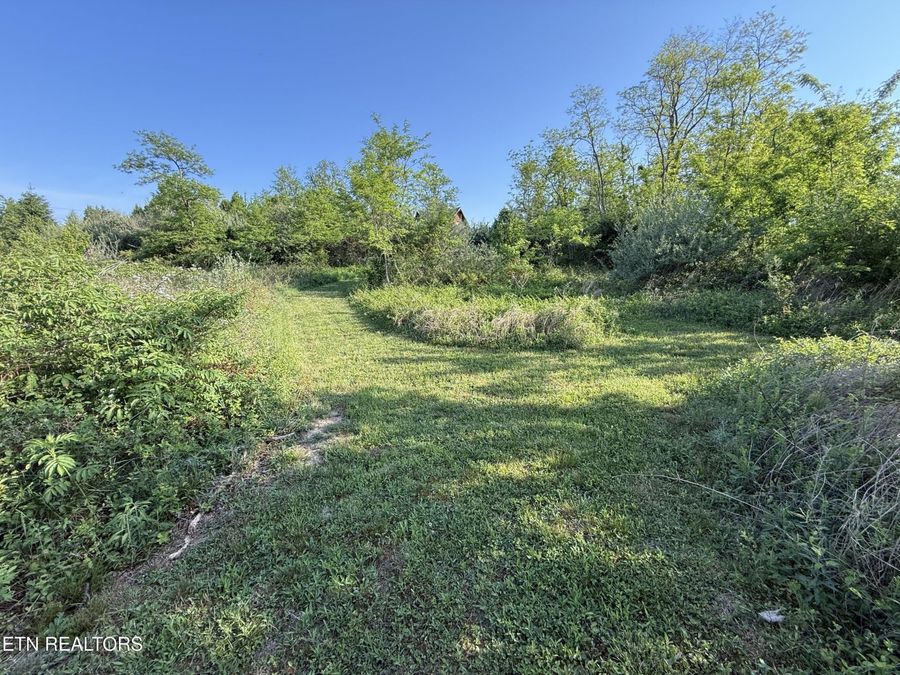 Property Image 25