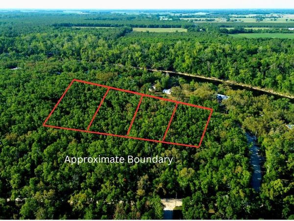 TBD NE TRESTLE DR (4 LOTS), Mayo, FL 32066