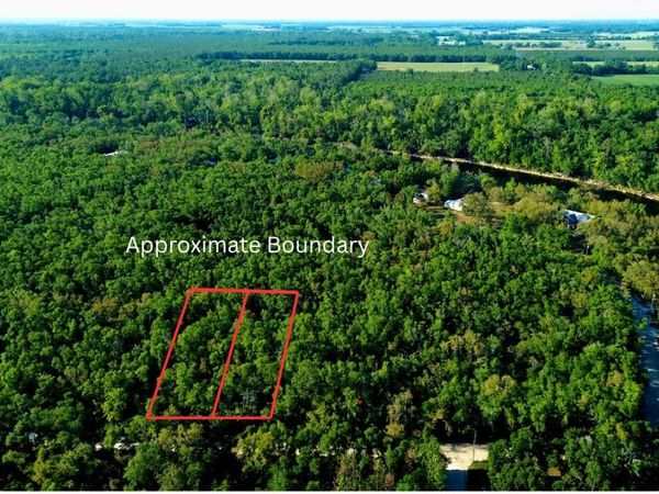 TBD NE TANSY RD (2 LOTS), Mayo, FL 32066
