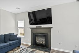 118 Harvest Grove Lane photo 4