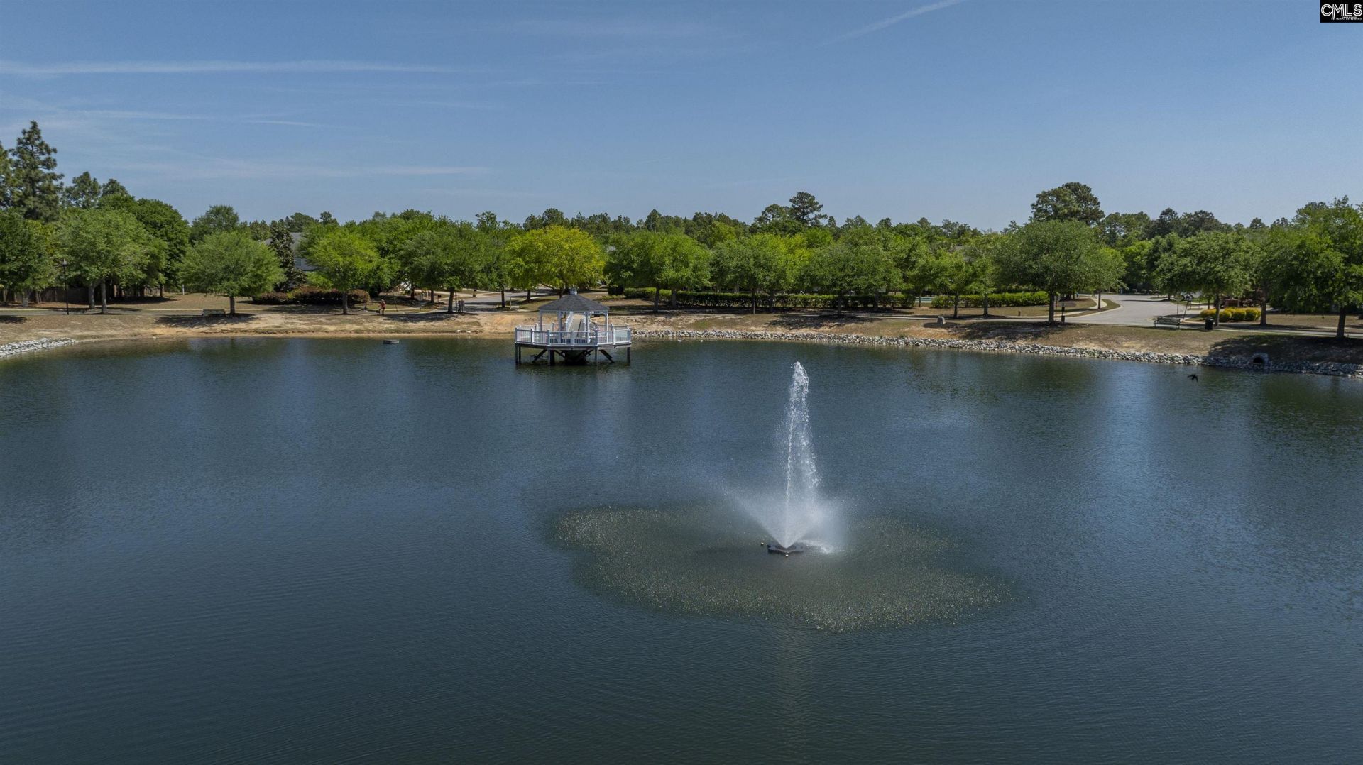 118 Harvest Grove Lane Photo 46