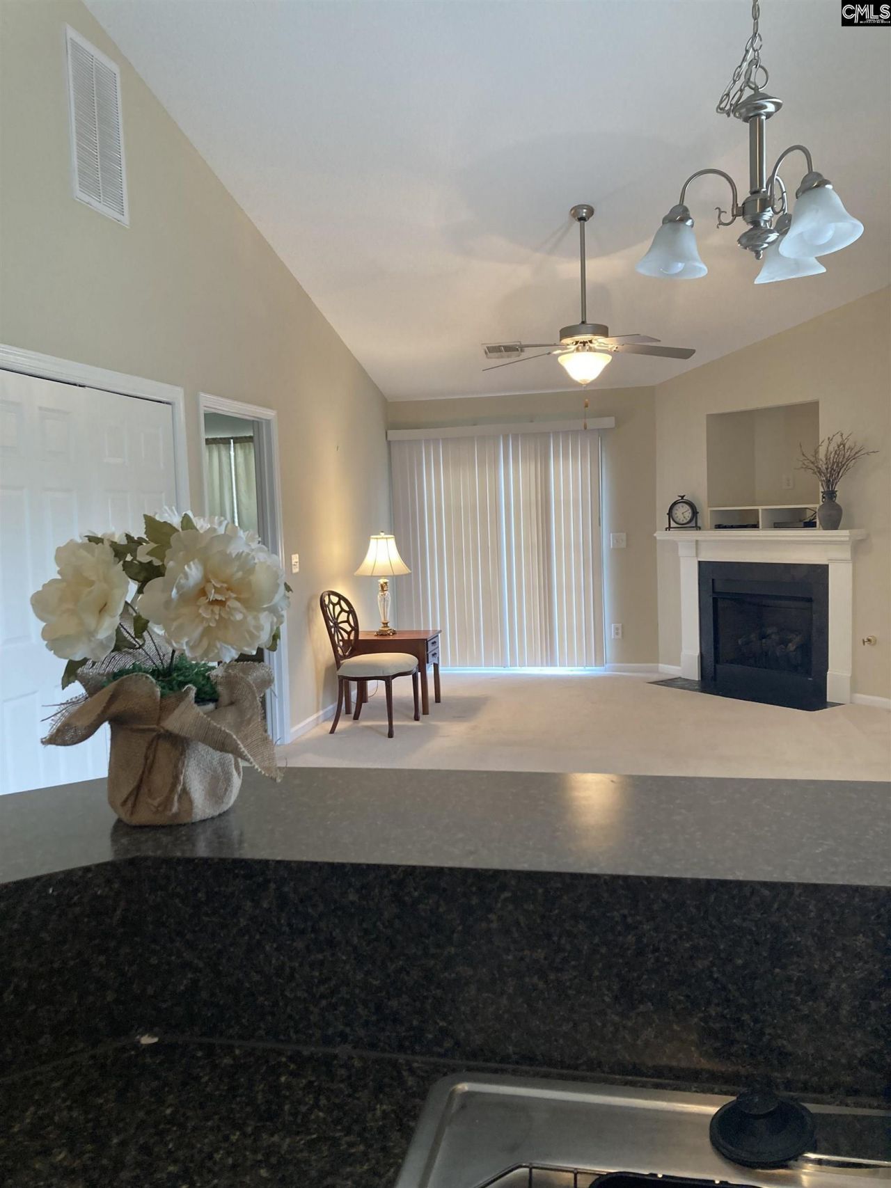 111 Agape Village Court Photo 4