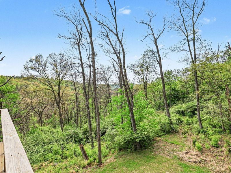 11685 Victory School House Road, Union, KY 41091 Photo 30