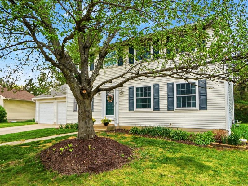 3846 Saddlebrook Court, Columbus, OH 43221 Photo 4