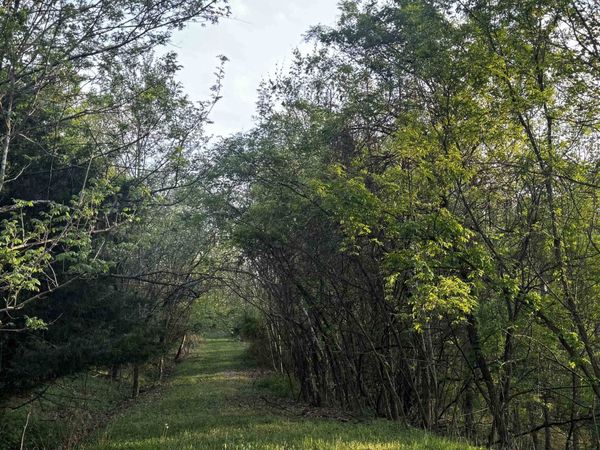 Lots 34 & 35 Jo Lin Estates, Huntington, WV 25704