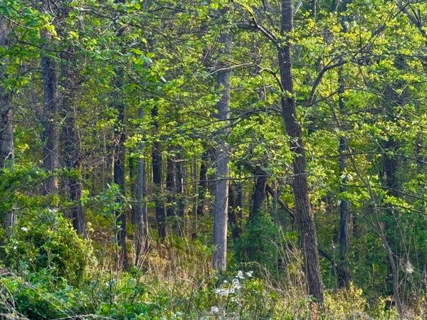 Lots 34 & 35 Jo Lin Estates, Huntington, WV 25704