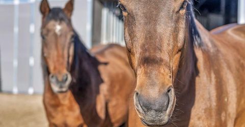 2075 Buckskin Drive, Washoe Valley, NV 89704 Photo