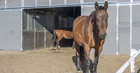 2075 Buckskin Drive, Washoe Valley, NV 89704 Photo