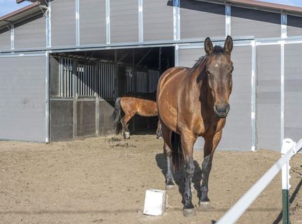 2075 Buckskin Drive, Washoe Valley, NV 89704 Photo