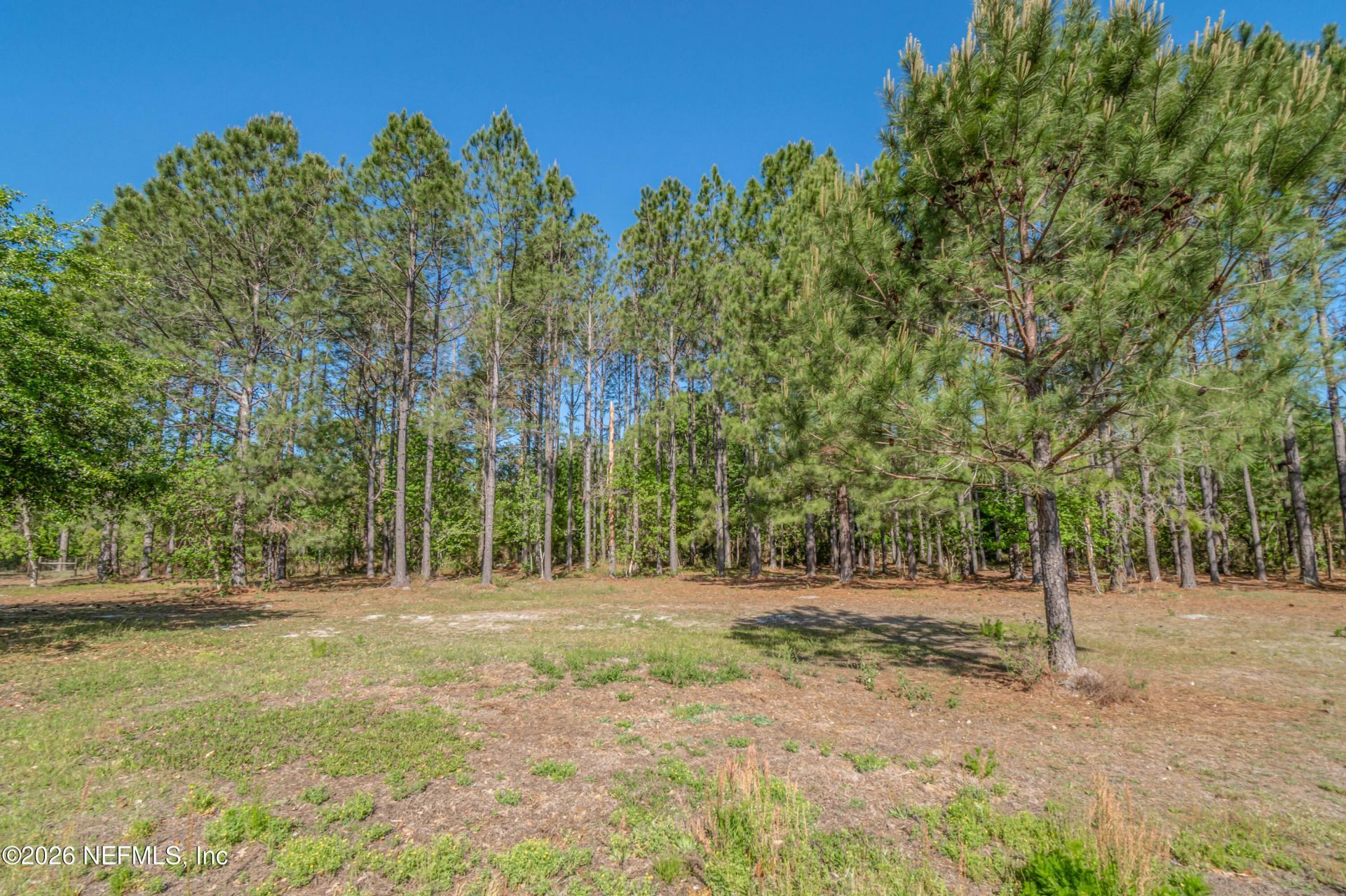 8219 Mud Lake Road, Macclenny, FL 32063 Photo