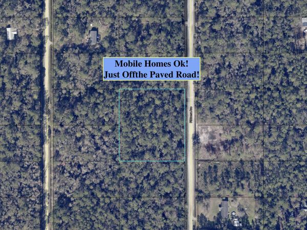 10655 FLIKKEMA Avenue, Hastings, FL 32145