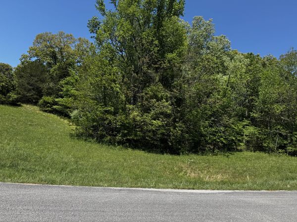 00 Goodfield Terrace, Decatur, TN 37322