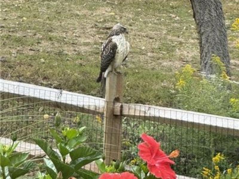 5007 Bogey Court, Lebanon, OH 45036 Photo 59