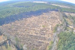 Tbd E Mt Carmel Road photo 4