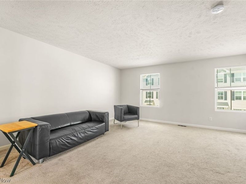 113 Palm Court, Painesville, OH 44077 Photo 4