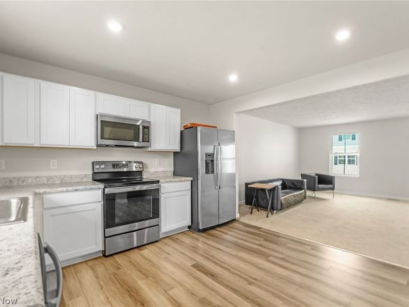 113 Palm Court, Painesville, OH 44077 Photo 6