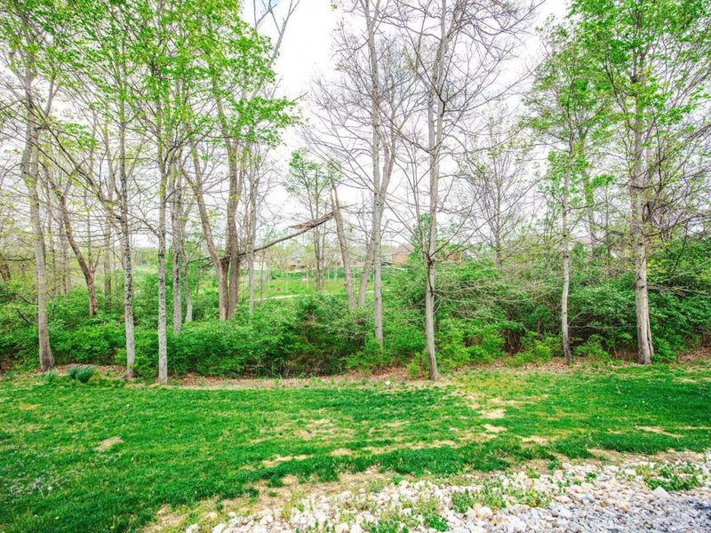 3601 Chadwell Springs Court, Miami Twp, OH 45002 Photo 71