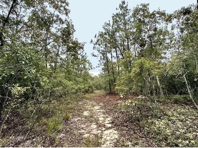 0 Fallaw Road, Gaston, SC 29053